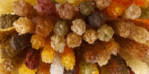 تصویر 3 از نبات طعم دار گیاهی خوش‌ عطر در بسته‌ های متنوع